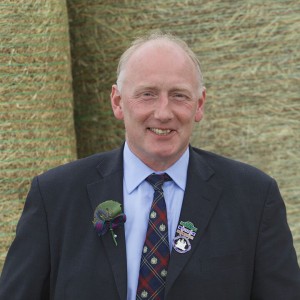 rob-forest